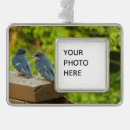 Suche nach schwalbe ornamente Schlucken