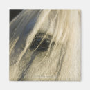 Recherche de oeil de cheval maison deco Nature