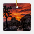 Suche nach joshua tree ornamente Sonnenuntergang