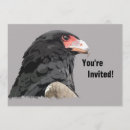 Suche nach raubvogel einladungen Adler