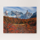 Suche nach patagonia puzzle Argentina
