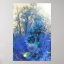 Recherche de chardon posters Floral