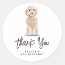 Suche nach cockapoo aufkleber Hund