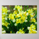 Recherche de iris fleur posters Jaune