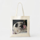 Suche nach pugs taschen Mops