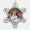 Recherche de chien mignon ornements Mignonette