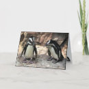 Recherche de penguin birthday Penguins