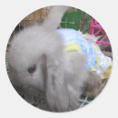 Suche nach lustiges kaninchen aufkleber Hare