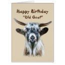 Recherche de vieille chèvre cartes postales Animal