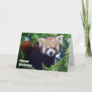 Recherche de panda rouge vœux cartes Mignon