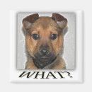 Suche nach sup magnete Spaß