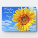 Suche nach bienen fotoplatten Blume