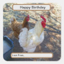 Recherche de compagnon animal autocollants Oiseau
