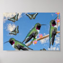 Suche nach drei tiere poster Wild