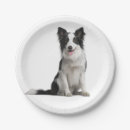 Suche nach border collie teller Party