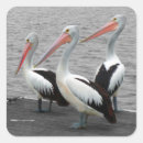Suche nach pelican aufkleber Seevogel