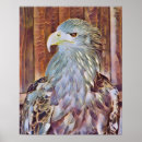 Suche nach seeadler poster Greifvögel