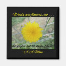 Suche nach unkräuter magnete Löwenzahn