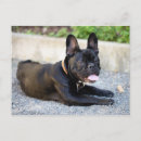 Suche nach schweißer andere postkarten Schweißen