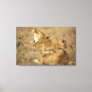Suche nach serengeti leinwandbilder Natur