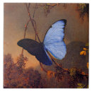 Recherche de morpho carreaux Papillon