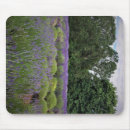 Recherche de champ des fleurs tapis souris Violet