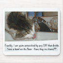 Recherche de chat tapis souris Ragondin