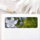 Recherche de columbines Nature