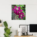 Suche nach clematis kunst Natur