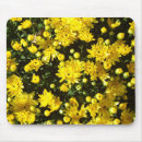 Suche nach chrysantheme mousepads Pflanze