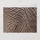 Suche nach haut postkarten Natur