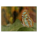 Suche nach malachit untersetzer Natur