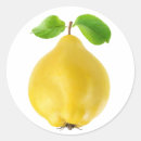 Recherche de jaune feuille autocollants Fruit