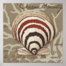 Suche nach seaside poster Muscheln