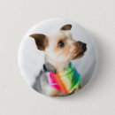 Suche nach yorkshire buttons Liebe