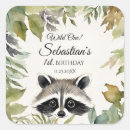 Suche nach raccoons aufkleber Tier