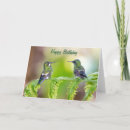 Recherche de anniversaire colibri cartes postales Oiseau
