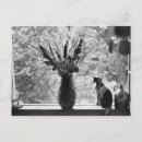 Suche nach romantische katze postkarten Tier