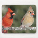 Recherche de mousepads photographie Nature