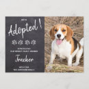 Recherche de adopté invitations Dog