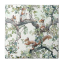 Recherche de écureuil carreaux Motif