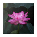 Suche nach blumenblatt fliesen Mit blumen