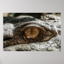 Recherche de alligator art Crocodile