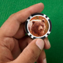 Suche nach bär poker chips Tragen