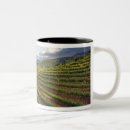 Recherche de vignoble tasses Rangée