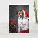 Recherche de st bernard vœux cartes Animal