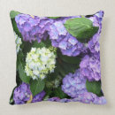 Recherche de hortensias coussins Botanique