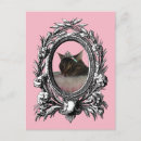 Recherche de chaton rose cartes postales Princesse
