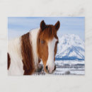Suche nach horses postkarten Farm