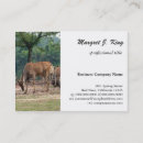 Recherche de animaux zoo cartes visite Sauvage